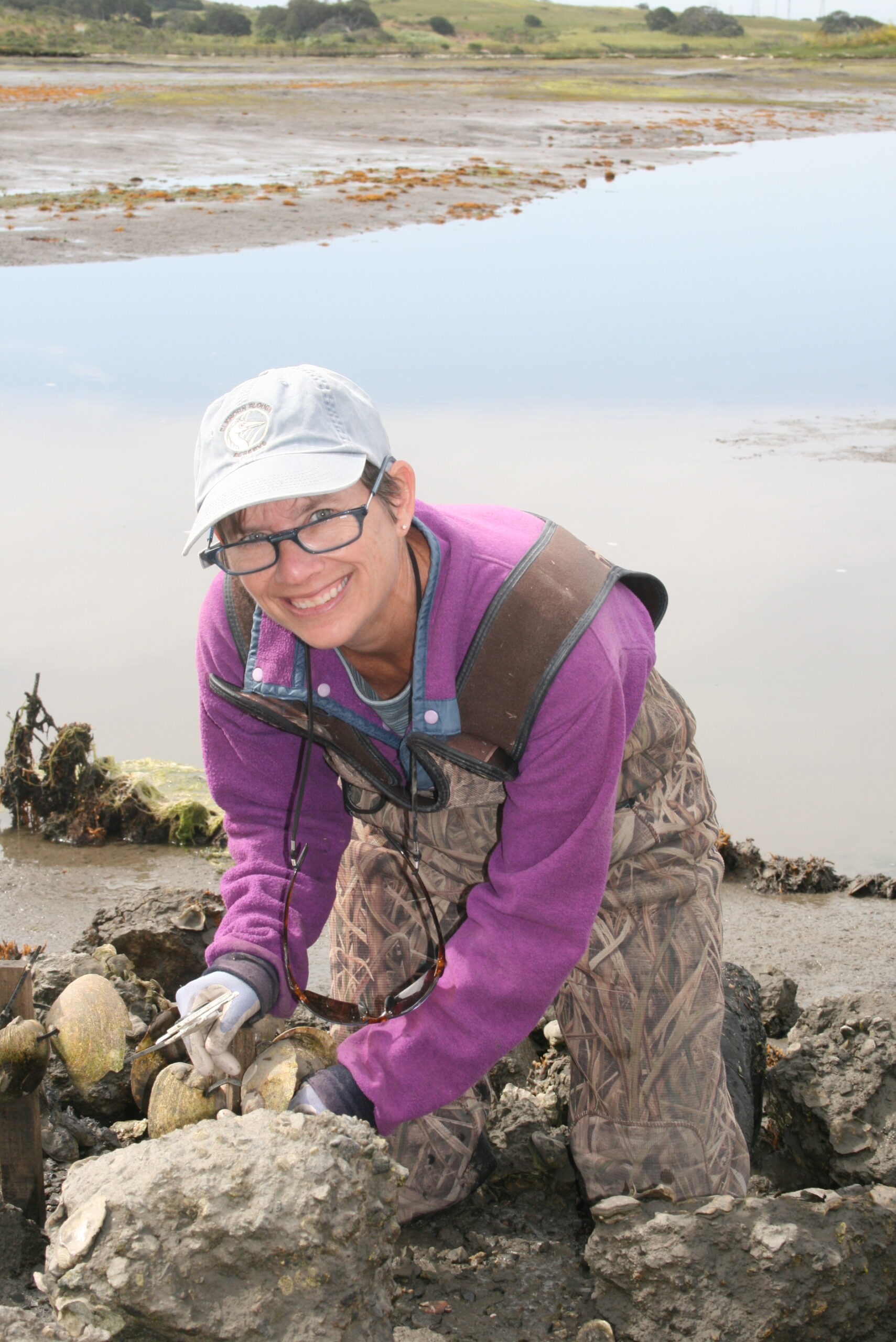 An Update on Our Native Oysters - Elkhorn Slough